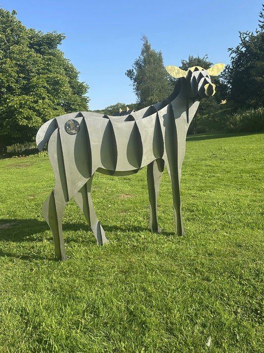 Doe1