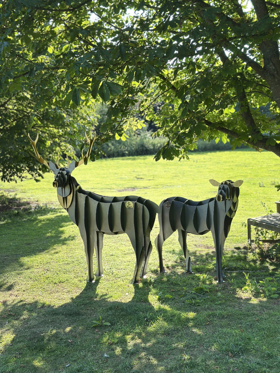 Stag and Doe2