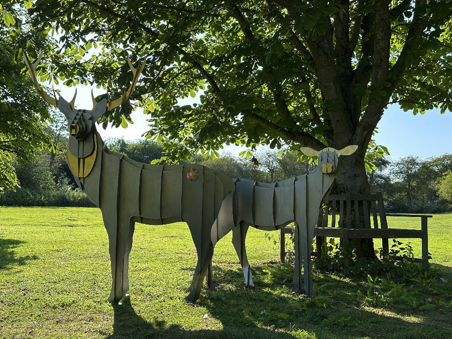 Stag and Doe3