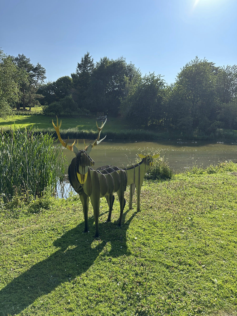 stag5