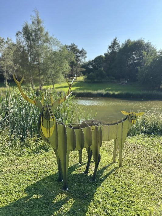 Stag and Doe 