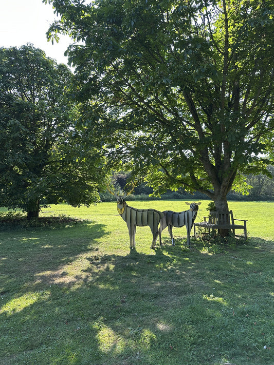Stag and Doe1