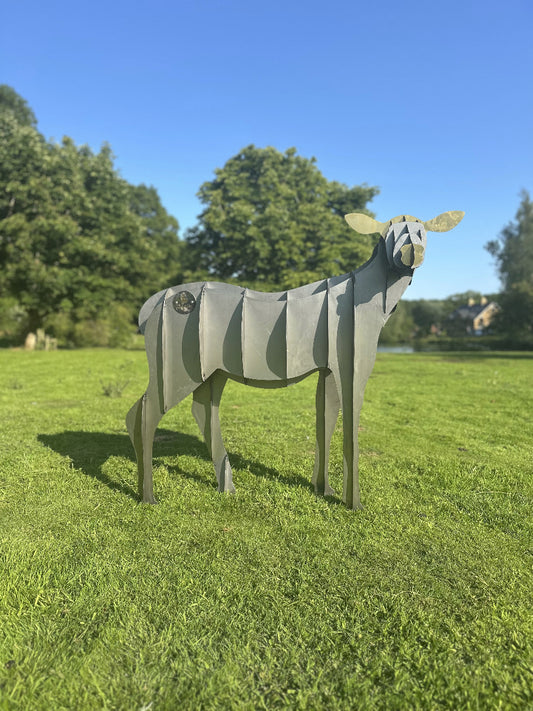 Doe